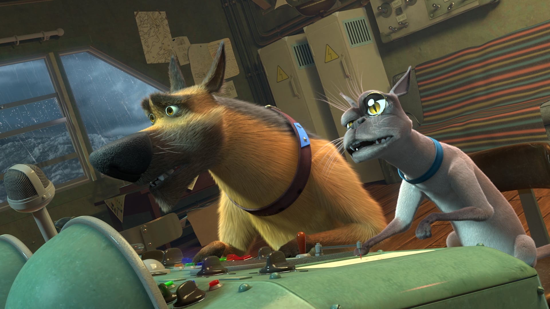 دانلود فیلم سگهای فضایی: ماجراجویی گرمسیری Space Dogs: Tropical Adventure 2020