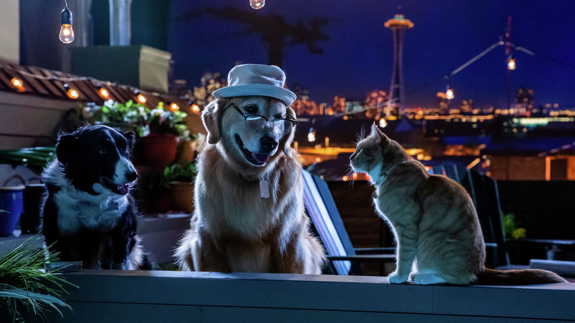 دانلود فیلم گربه ‌ها و سگ‌ ها 3: اتحاد پنجه‌ها Cats & Dogs 3: Paws Unite 2020