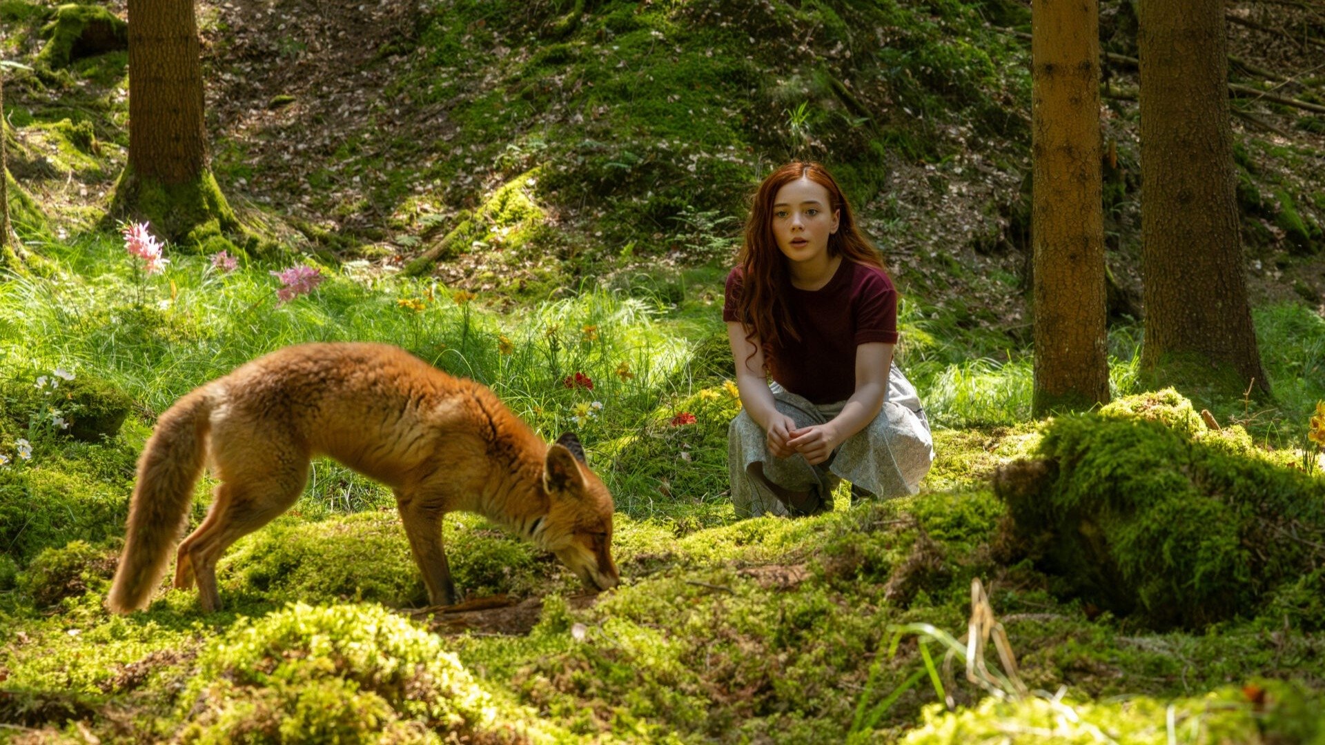 دانلود فیلم دختری به نام ویلو A Girl Named Willow 2025