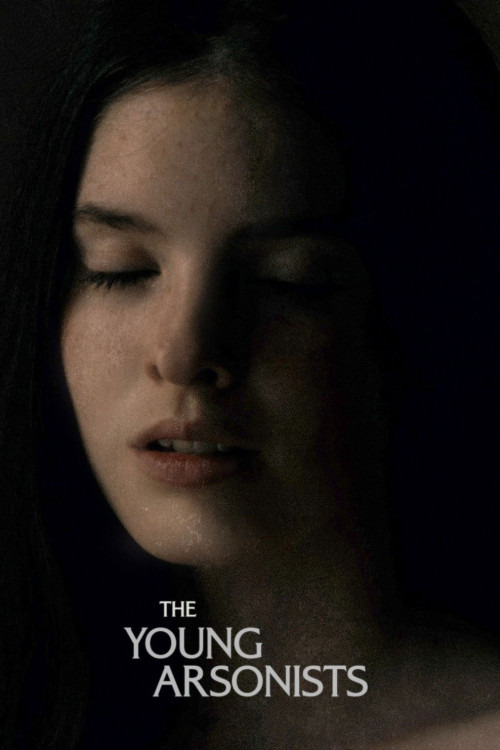 دانلود فیلم آتش افروزان جوان The Young Arsonists 2022